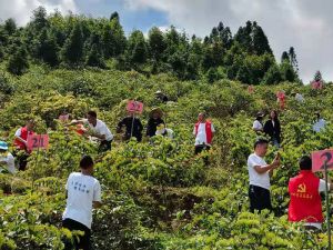 基地環境