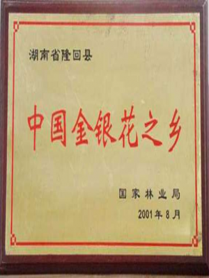 金銀花之鄉